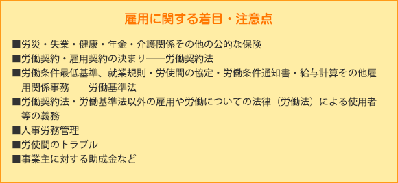 雇用に関する着目・注意点  ■労災・失業・健康・年金・介護関係その他の公的な保険
■労働契約・雇用契約の決まり――労働契約法
■労働条件最低基準、就業規則・労使間の協定・労働条件通知書・給与計算その他雇　用関係事務――労働基準法
■労働契約法・労働基準法以外の雇用や労働についての法律（労働法）による使用者　等の義務　
■人事労務管理
■労使間のトラブル
■事業主に対する助成金など